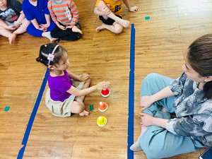 Hệ Montessori tiêu chuẩn